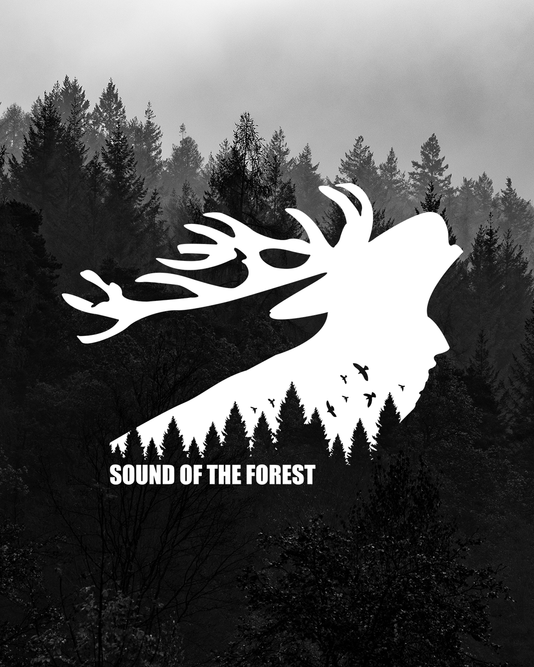 Sound of the Forest 2021 auf 2022 verlegt