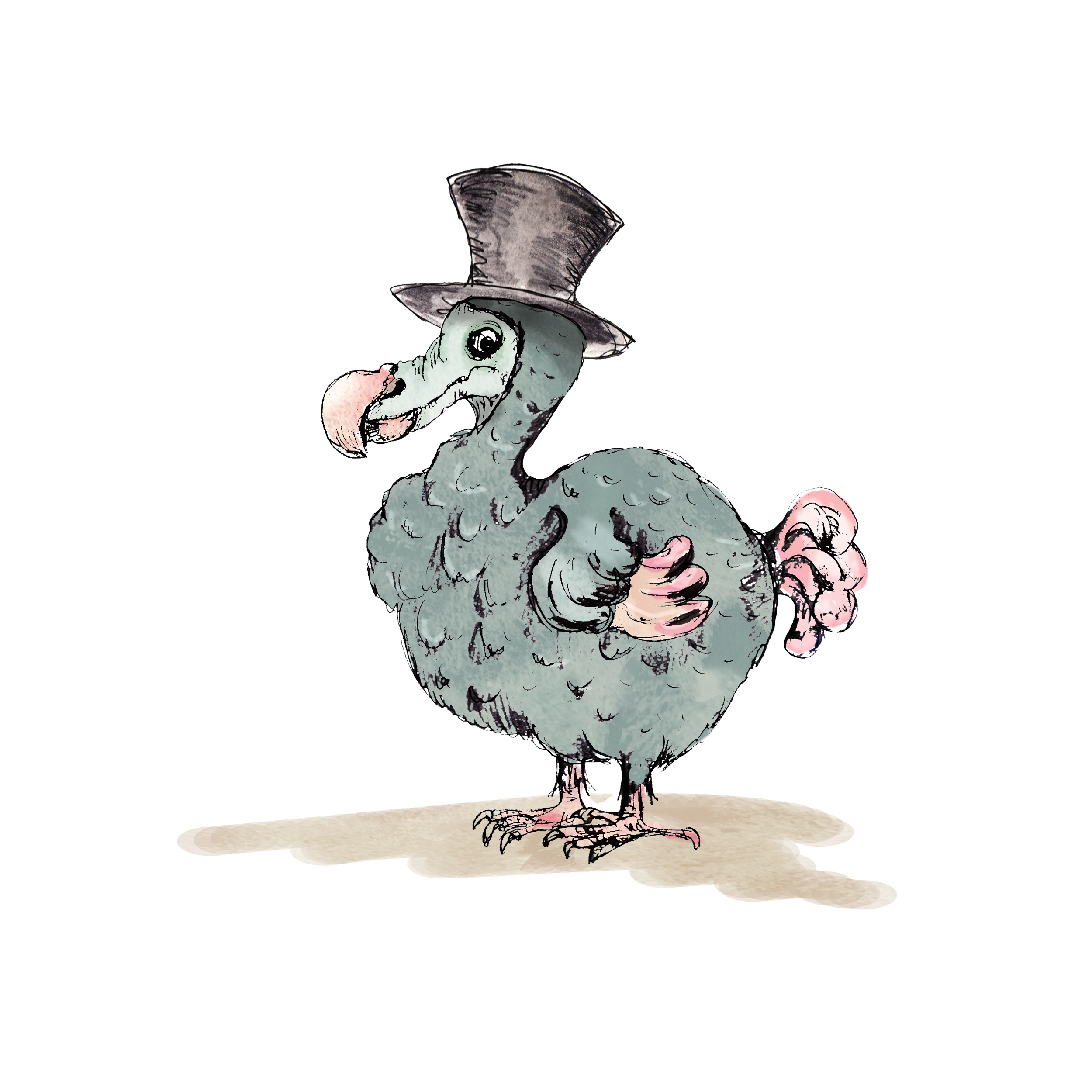 Vogel mit Zylinder