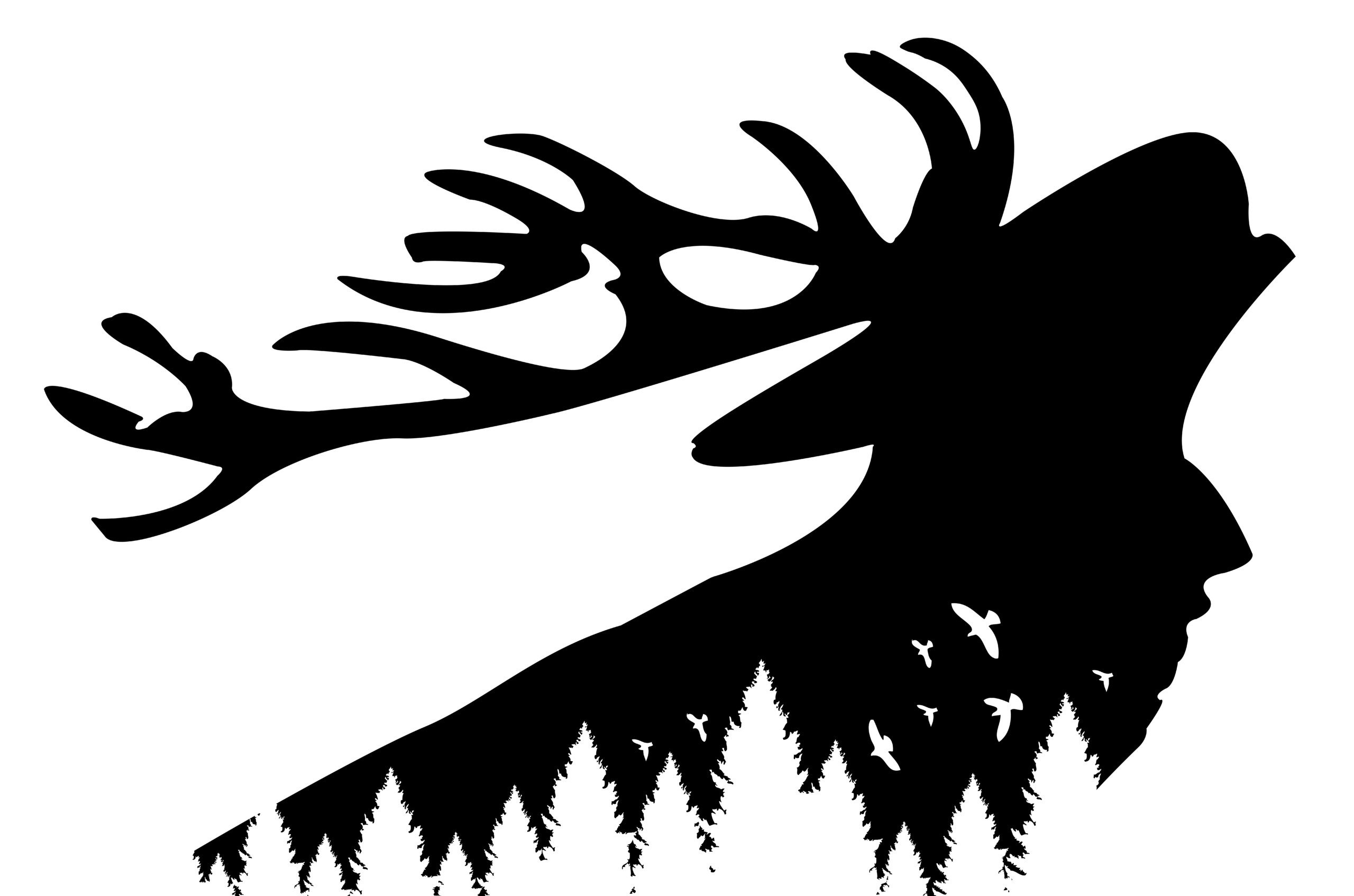LOGO_HIRSCHohneSChrift